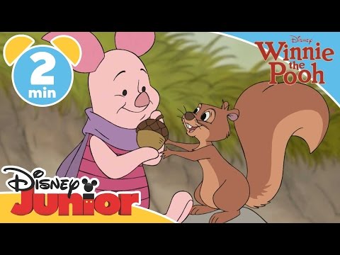 The Mini Adventures of Winnie the Pooh | If I Wasn't So Small | @disneykids