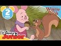 The Mini Adventures Of Winnie The Pooh If I Wasn T So Small Disneykids