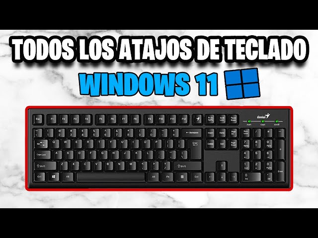 Vídeo relacionado con HP 150 Teclado QWERTY Español con Cable - (Indicadores LED, Puerto USB-A, 12 Teclas de Atajos, Windows, Chrome) Color Negro