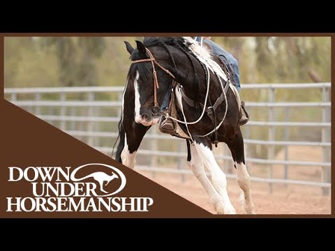 Clinton Anderson: Post 'N Circle - Sept No Worries Club Video Excerpt