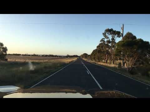 THE BEST PRADO TO BUY