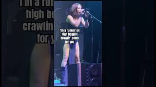 “You Got Me” clip by some rock band in Arkansas! 🤘