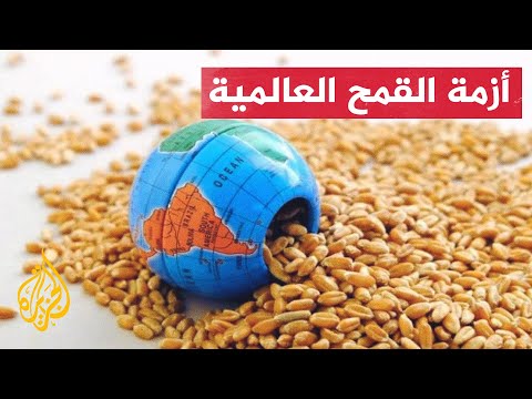 وقف اتفاقية تصدير الحبوب تؤثر سلبا على دول عربية من هي؟