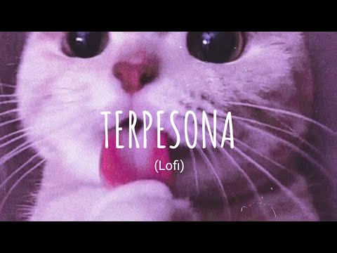 [Vietsub + Lyric] Terpesona (lofi) - Bulan, Gustixa | Music Tik Tok