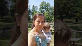 Wildpark Ernstbrunn – Tiere, Spielplatz &amp; Natur pur! 🦌🌳#ausflug #ausflugtipp #freizeitaktivitäten