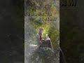 En Kanimalare Malayalam