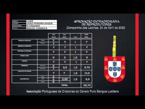 5 Luar - Aprovação Extraordinária de Garanhões