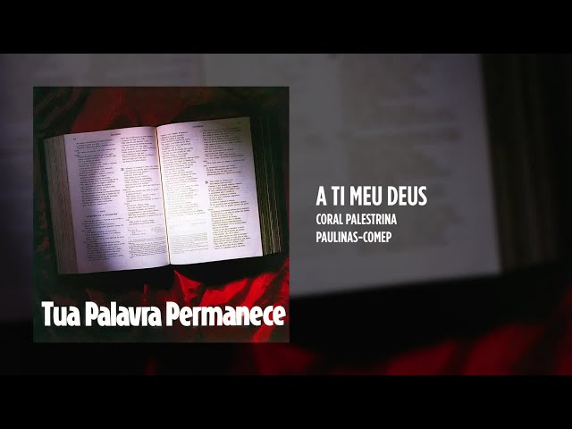 Preview do vídeo