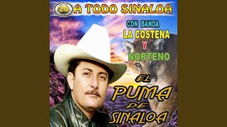 La Fuga Del Ceja Guera