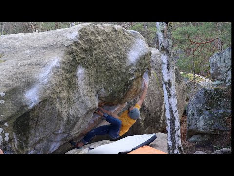 Ulysse & Tiliak  7a   Cuvier Bellevue (fontainebleau)