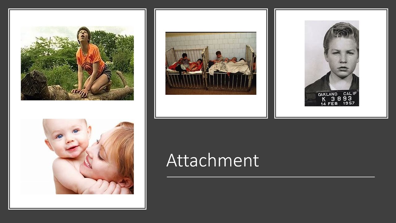 Want to find out more?