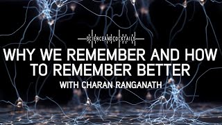 Why we remember and how to remember better