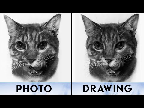 Watch How You Can Easily Draw a Realistic CAT Portrait - Drawing Cat |Fur Drawing Technique|