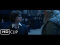 Harry Is Chosen From The Goblet Harry Potter And The Goblet Of Fire