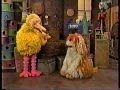 Classic Sesame Street Trying To Make Barkley Laugh