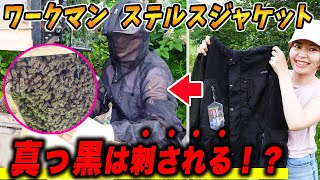 黒い服は蜂に刺される？ワークマンのステルスジャケットでニホンミツバチの巣箱を継箱をしてみた！