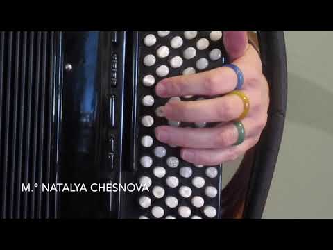 Scala Maggiore con i bassi standard Movimenti principali fisarmonica accordion