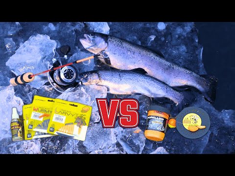 Larvy vs. Waxworm and Paste ❄️🎣 – The bait duel in ice fishing for trout / trout fishing