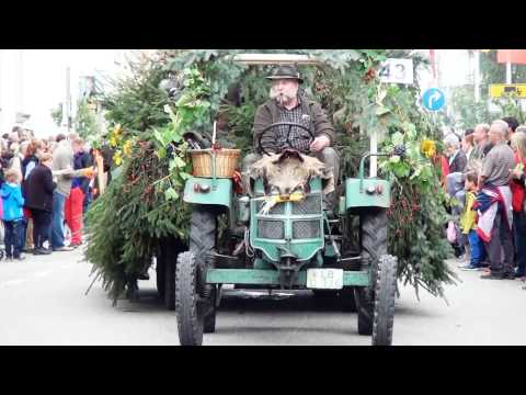 Kompletter Festzug Winzerfest Besigheim 2013