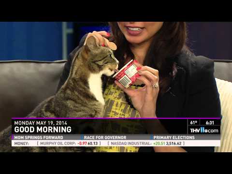 Joey gets some Ice Cream