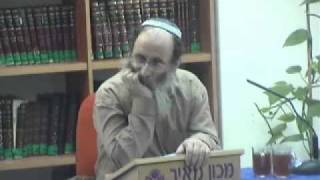 15216-3 אם נקבה תלד