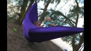 Monkey Pod Hammock at Baby Beach, Maui.