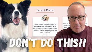 How To Lose Credibility With Poorly Written Dog Training Testimonials
