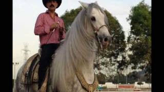 El Chapo de Sinaloa - Una Rosa y un Beso (El Jardinero)