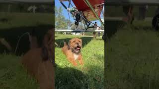 Super Nina #music #hangglider #sky #flying