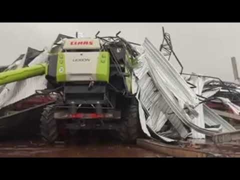 Chuvas e ventos fortes provocam quedas de árvores e afetam áreas rurais no Cone Sul de MS 