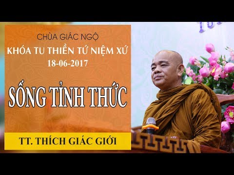 Khóa tu Thiền 5:  Sống tỉnh thức - TT. Thích Giác Giới