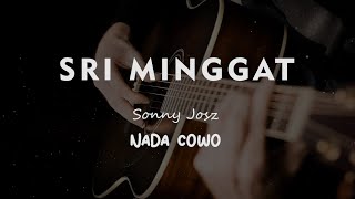 Download lagu SRI MINGGAT // SONNY JOS // KARAOKE GITAR AKUSTIK TANPA VOKAL NADA COWO ( MALE ) mp3
