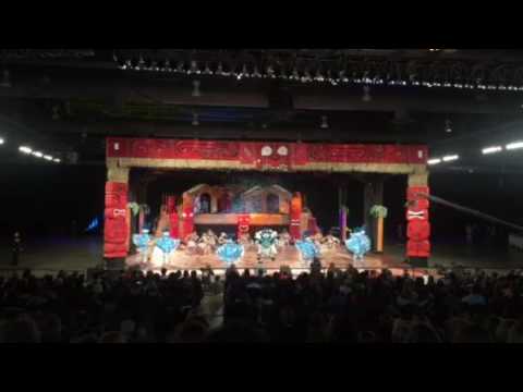 Golden Crown NYB - 2017 - Judged Show ..."Raindance" - 2nd Prize