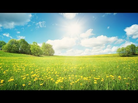 Happy Instrumental Hymns about the Joy of God | Relaxing, Soothing, Beautiful