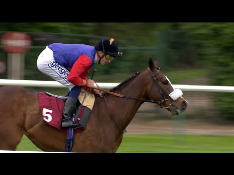 A Royal winner as KING'S LYNN strikes for The Queen in the Group 2 Temple Stakes at Haydock!