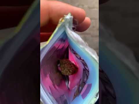 Tijara.trs ft Ffragezeichen