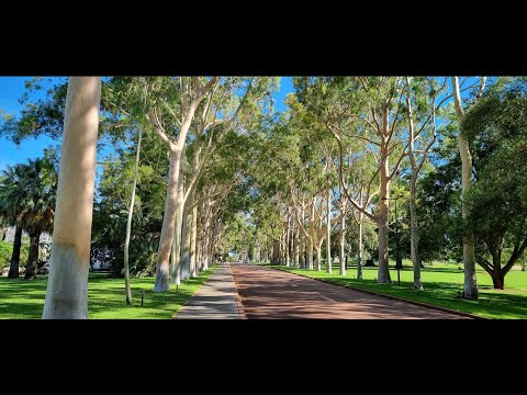 Check out Kings Park in Perth Australia with me?