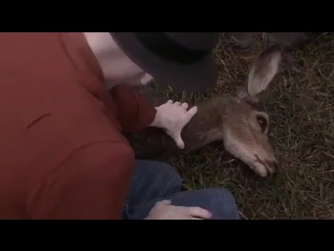 Powder 1995- The Deer Hunting Scene