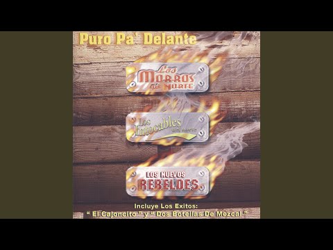 La Muerte Y La Bolsita