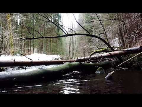 Steinklamm - Spiegelau im Bayrischen Wald