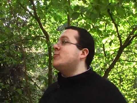 Guida al Santuario di San Francesco di Paola a Paola