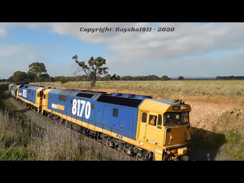 7737V - 8170-8113 (Grain) Murgheboluc - Australian Trains by RaySha1811