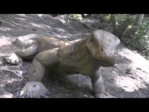 Pinzgauer Bogensportschule No. 1