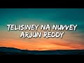 Thelisiney Na Nuvvey Lyrics Arjun Reddy