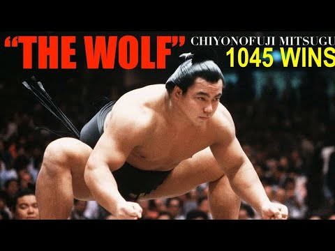 The MIKE TYSON of SUMO WRESTLING (The Wolf Tribute)