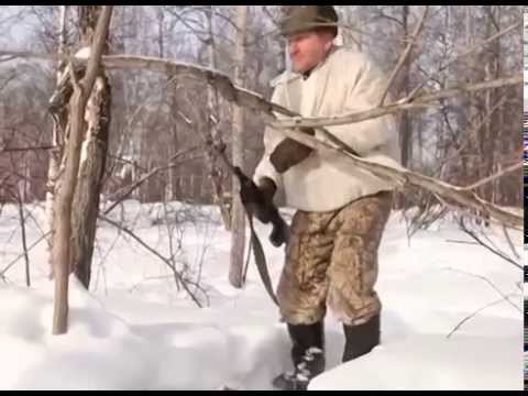 Охота на лосей