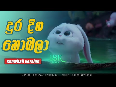 dura diga nobala snoball cover/dura diga nobala/ artist denuwan kaushaka