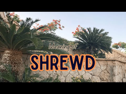 What is the meaning of Shrewd?