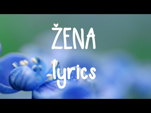Žena // lyrics video // FireFly