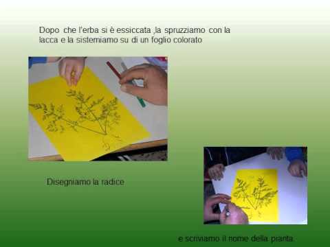 La maschera di decolorazione da argilla per pelle di faccia secca Mascheramento da lentiggini